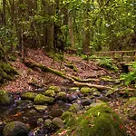 Casa Palmar-nature Escape-valle Gran Rey