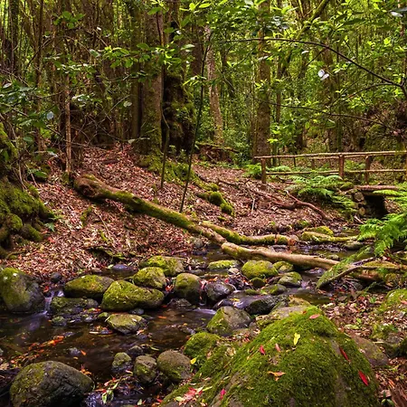 Casa Palmar-nature Escape-valle Gran Rey