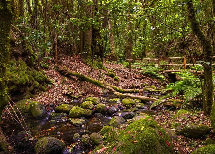 Casa Palmar-Nature Escape-Valle Gran Rey